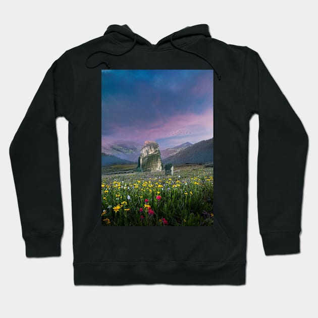 Flower Fields Hoodie by Shaheen01